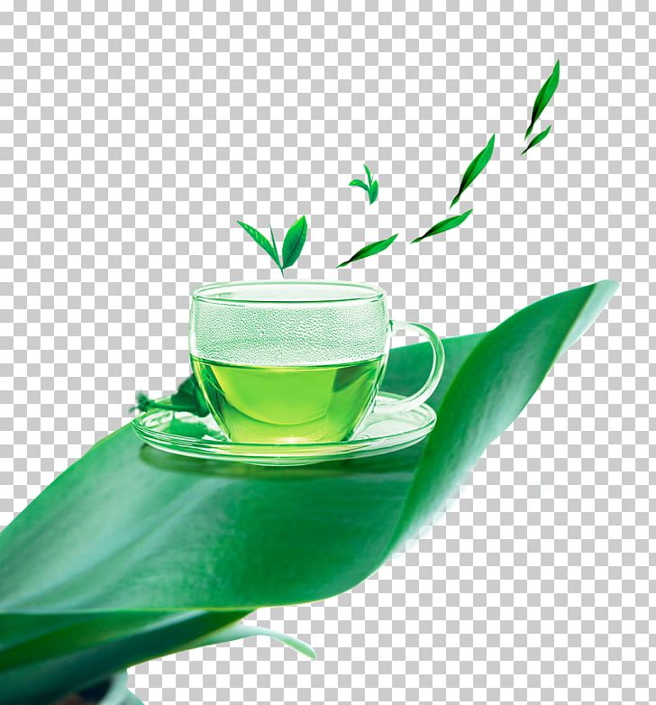Green Tea White Tea Cup PNG, Clipart, Background Green, Black Tea, Creative  Work, Cup, Food Free