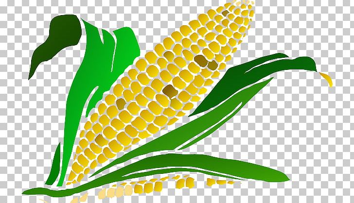 Maize Drawing PNG, Clipart, Agriculture, Cereal, Commodity, Corn, Corn Clipart Free PNG Download