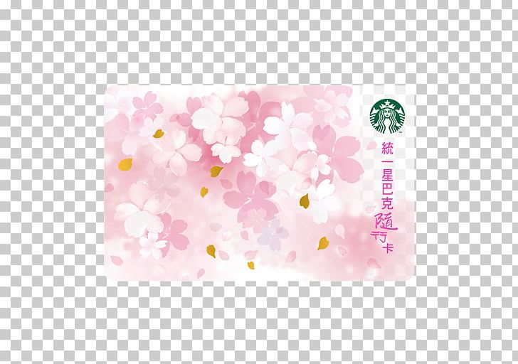 Matsu Islands Starbucks 0 Gift Card PNG, Clipart,  Free PNG Download