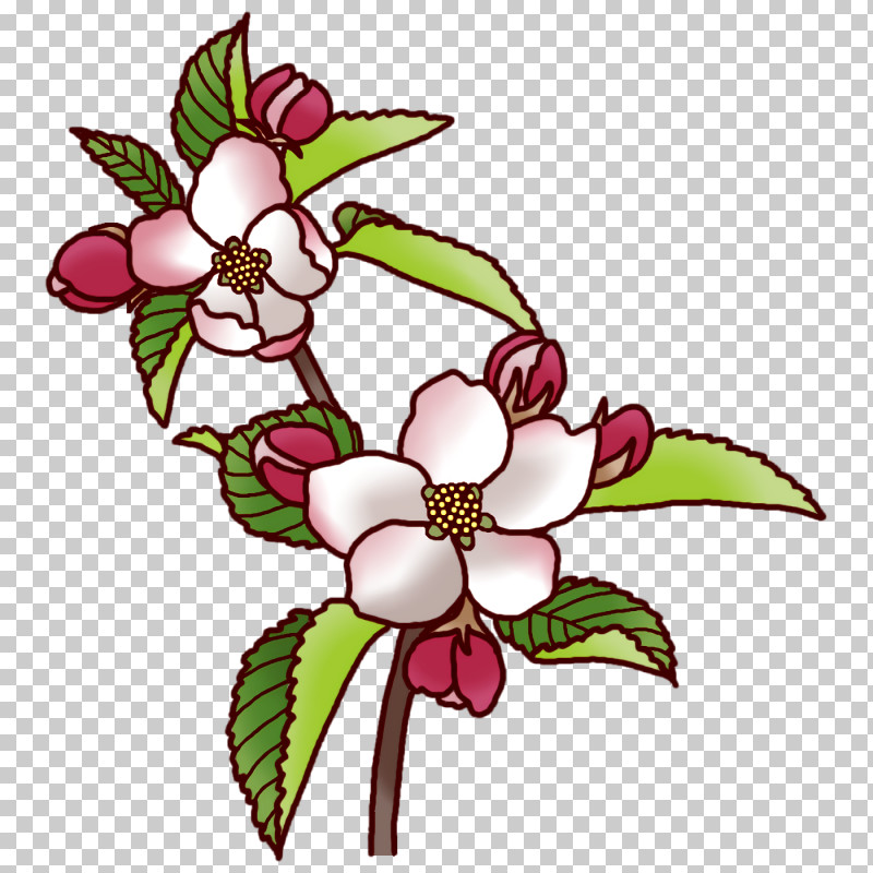 Floral Design PNG, Clipart, Biology, Branch, Cut Flowers, Floral Design, Flower Free PNG Download