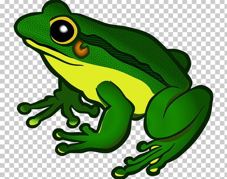 Frog PNG, Clipart, American Bullfrog, Amphibian, Animals, Cartoon, Clip Art Free PNG Download
