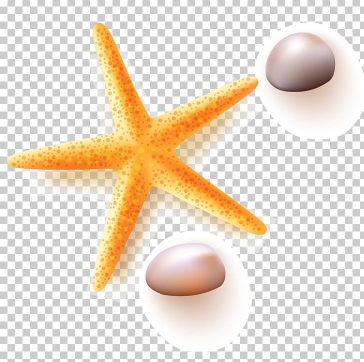 Starfish Euclidean Pebble PNG, Clipart, Animals, Beach, Beautiful Starfish, Cobblestone, Download Free PNG Download
