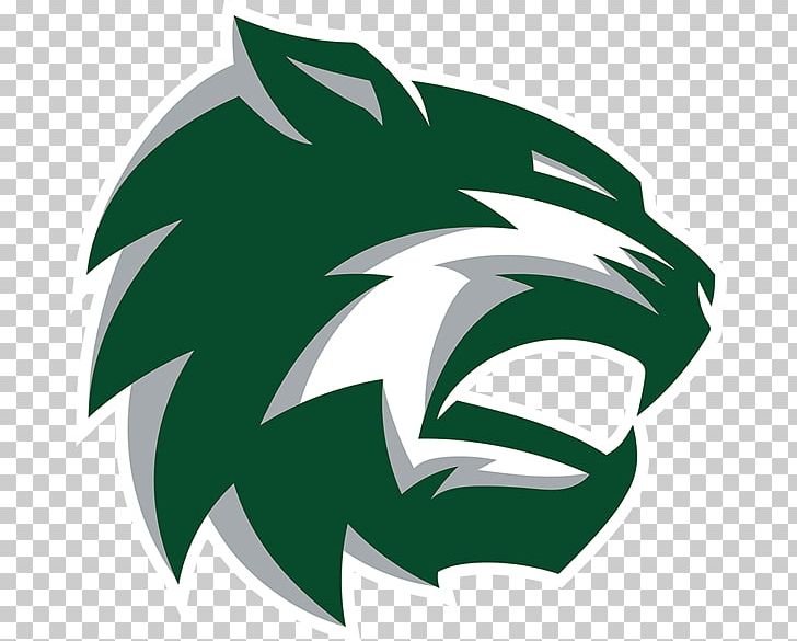 Tonganoxie De Soto High School National Secondary School DeSoto High School PNG, Clipart, Baldwin High School, De Soto, Desoto High School, De Soto High School, De Soto Usd 232 Free PNG Download