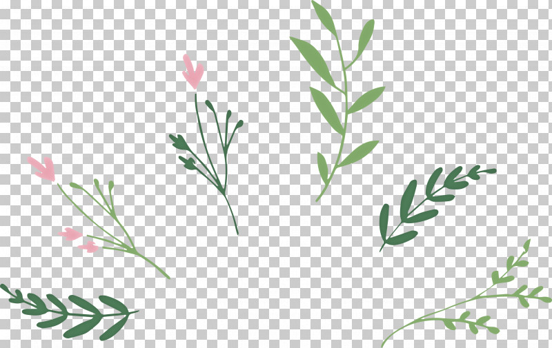 Leaf Branch PNG, Clipart, Drawing, Flower, Leaf, Leaf Branch, Logo Free PNG Download