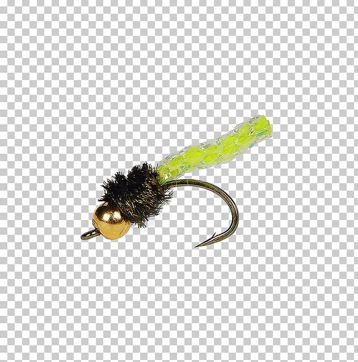 Fly Product Insect Great Lakes Holly Flies PNG, Clipart, Copper, Email, Fly, Great Lakes, Holly Flies Free PNG Download