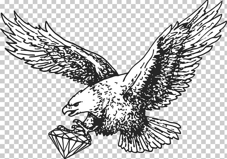 Graphics Illustration Open PNG, Clipart, Artwork, Beak, Bird, Bird Of Prey, Black And White Free PNG Download