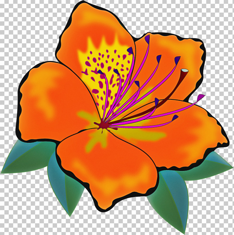 Orange PNG, Clipart, Flower, Herbaceous Plant, Orange, Petal, Plant Free PNG Download