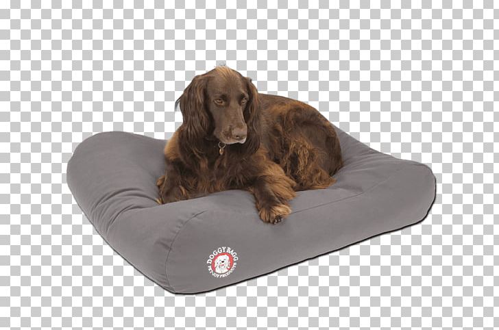 Dog Breed Field Spaniel Boykin Spaniel Puppy Companion Dog PNG, Clipart,  Free PNG Download