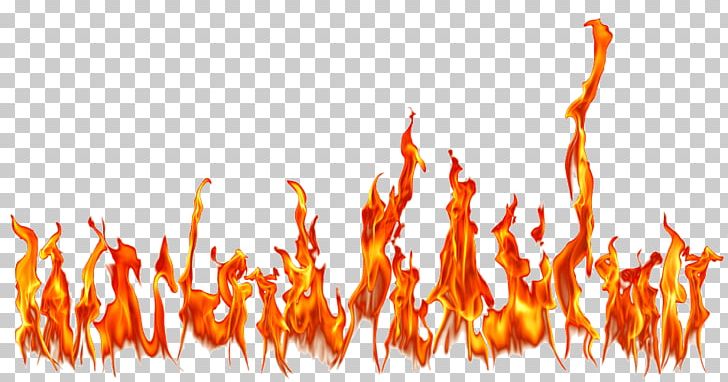 Flame Fire Light Combustion PNG, Clipart, Action, Alpha Compositing, Beauty, Combustion, Computer Icons Free PNG Download