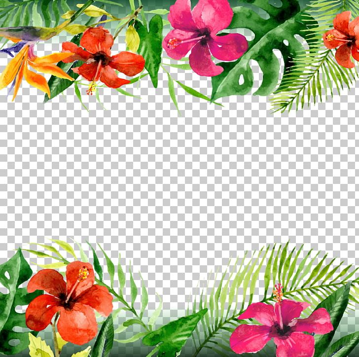 Leaf Arecaceae Flower PNG, Clipart, Branch, Computer Icons, Cut Flowers, Encapsulated Postscript, Floristry Free PNG Download