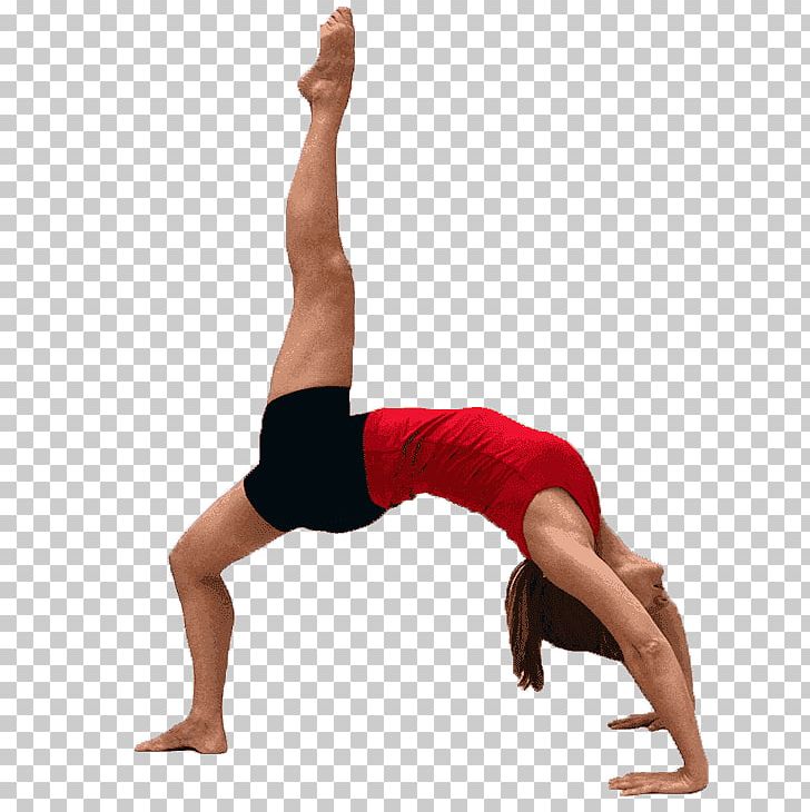Yoga Pilates Bridge Exercise Core Stability PNG, Clipart, Abdomen, Arm, Balance, Bridge, Calf Free PNG Download