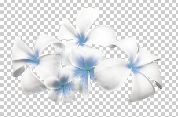 Cut Flowers Floral Design Tulip Color PNG, Clipart, Blue, Color, Cut Flowers, Floral Design, Flower Free PNG Download