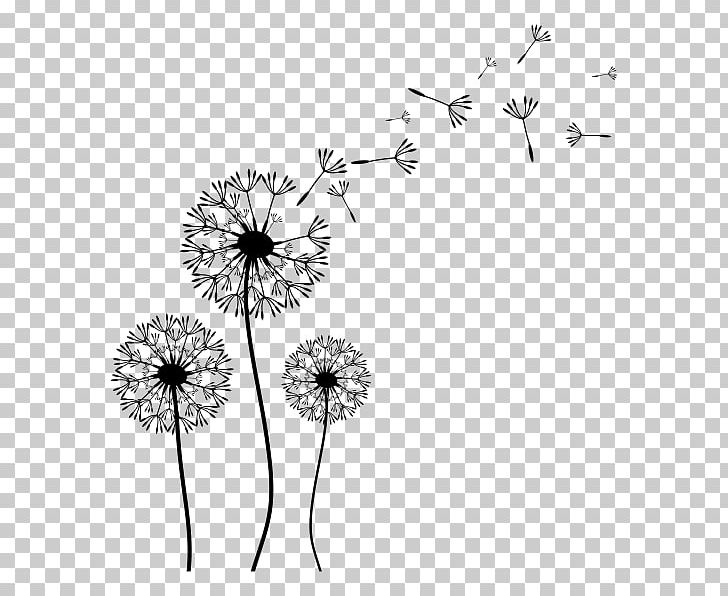 Dandelion Coffee Drawing PNG, Clipart, Art, Big Head, Black And White, Branch, Can Stock Photo Free PNG Download