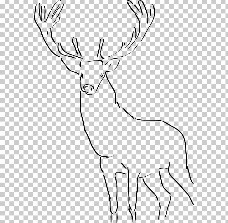 Drawing Art PNG, Clipart, Antler, Art, Black And White, Cattle Like Mammal, Computer Icons Free PNG Download