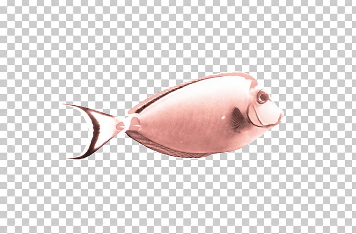 Fish Orange PNG, Clipart, Adobe Illustrator, Animals, Cute, Cute Fish, Download Free PNG Download