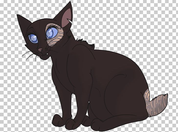 Korat Whiskers Kitten Domestic Short-haired Cat Black Cat PNG, Clipart, Animals, Asia, Asian, Asian People, Black Free PNG Download