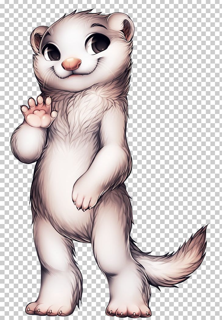 Otter Mustela Ferret Raccoon Cat PNG, Clipart, Animal, Animals, Bear, Canidae, Carnivoran Free PNG Download