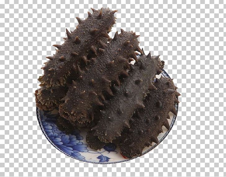 Sea Cucumber As Food Sashimi Extract PNG, Clipart, Alibaba Group, Black, Chocolate Cake, Condiment, Cucumber Free PNG Download