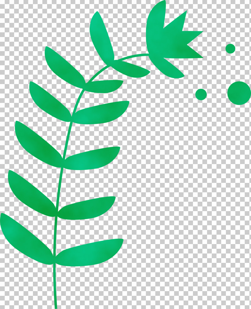 Plant Stem Branch Leaf Green Line PNG, Clipart, Biology, Branch, Green, Lawn, Leaf Free PNG Download