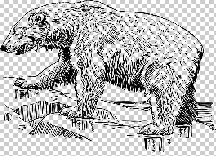 American Black Bear Polar Bear Giant Panda Grizzly Bear PNG, Clipart, American Black Bear, Animals, Artwork, Bear, Bear Hunting Free PNG Download