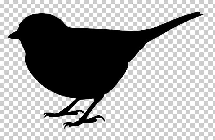 Bird Silhouette PNG, Clipart, Animals, Art, Beak, Bird, Black And White Free PNG Download