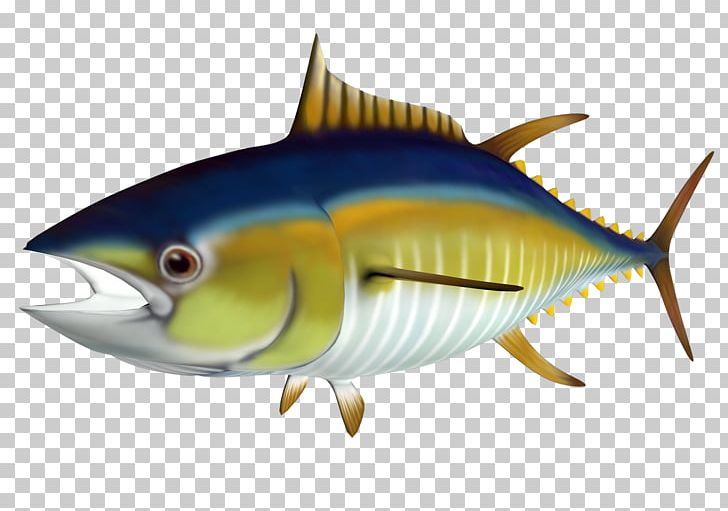 Atlantic Bluefin Tuna Yellowfin Tuna PNG, Clipart, Bonito, Bony Fish, Canned Fish, Charlie The Tuna, Coral Reef Fish Free PNG Download