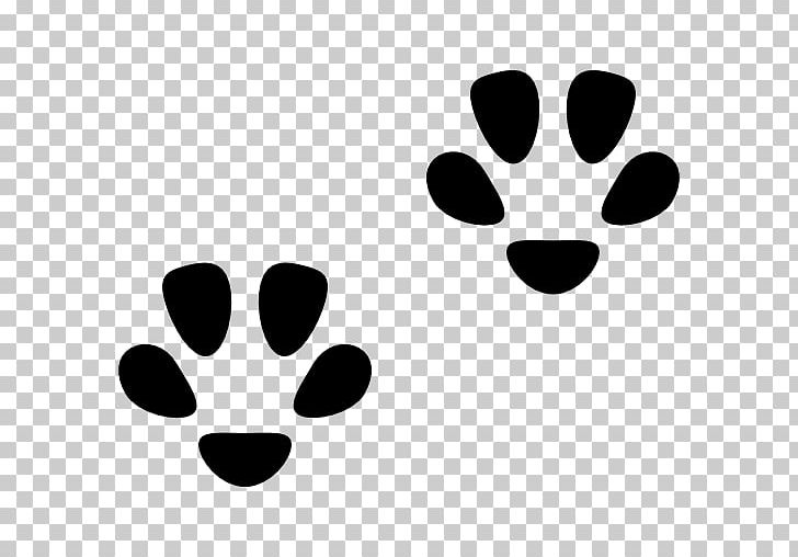 Cat Dog Footprint Paw Felidae PNG, Clipart, Animal, Animals, Animal Track, Black, Black And White Free PNG Download