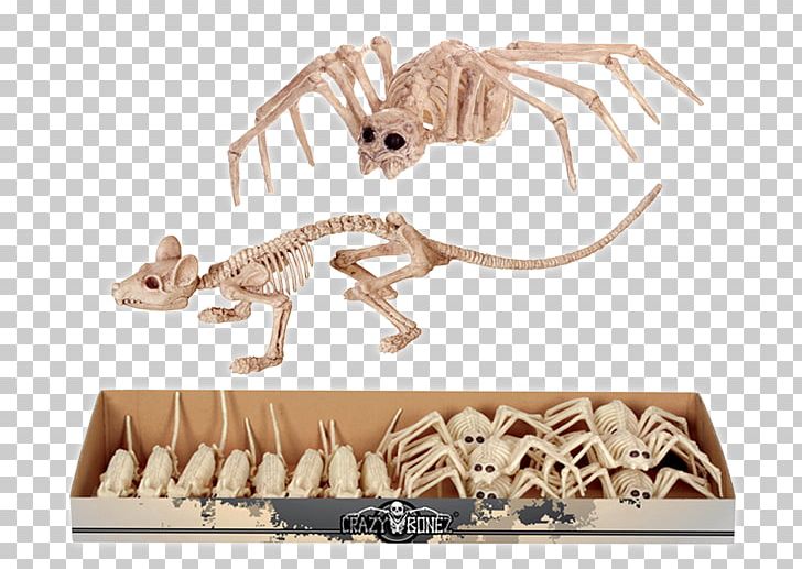Velociraptor Spider Rat Animal Carnivora PNG, Clipart, Animal, Animal Figure, Carnivora, Carnivoran, Dinosaur Free PNG Download