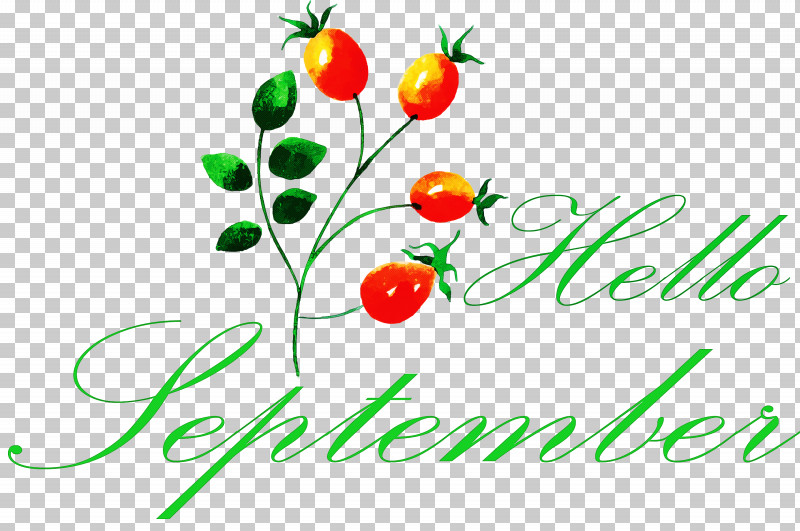 Hello September PNG, Clipart, Biology, Fruit, Geometry, Hello September, Justin Bieber Free PNG Download