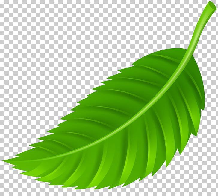 Autumn Leaf Color PNG, Clipart, Autumn, Autumn Leaf Color, Banana Leaf, Desktop Wallpaper, Download Free PNG Download