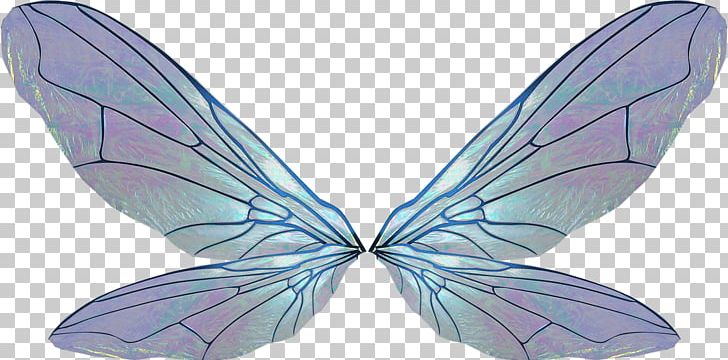 Brush-footed Butterflies Крылья / Wings Archive File RAR PNG, Clipart, Archive File, Brush Footed Butterfly, Butterfly, Fictional Character, Insect Free PNG Download