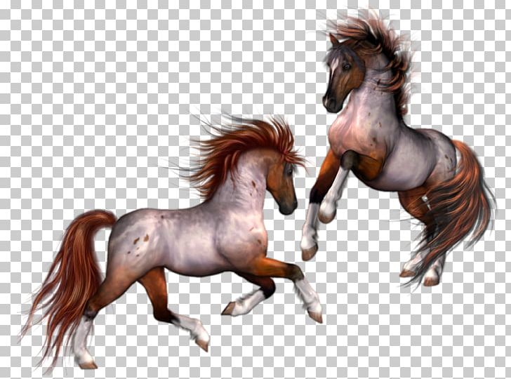 Horse Animation Cartoon PNG, Clipart, Animal, Animals, Animation, At Resimleri, Cartoon Free PNG Download