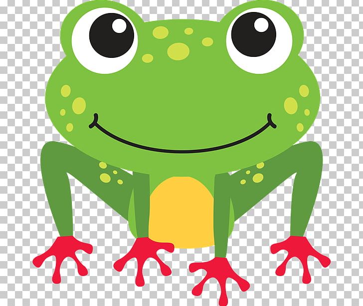 Toad True Frog Cartoon PNG, Clipart, Amphibian, Animals, Animated ...