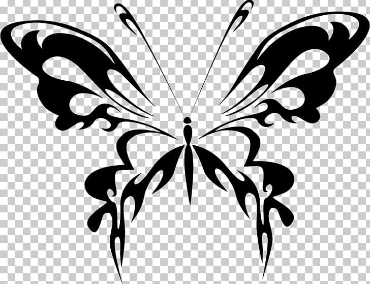 Butterfly Insect PNG, Clipart, Abstract Patterns, Arthropod, Black And White, Brush Footed Butterfly, Drawing Free PNG Download