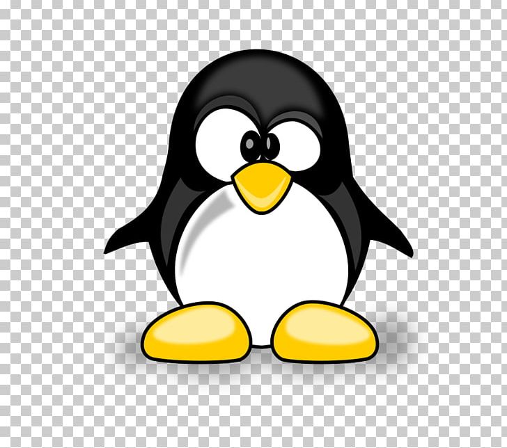 Penguin PNG, Clipart, Animals, Beak, Bird, Cartoon, Download Free PNG Download