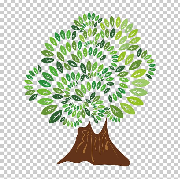 Tree Birch PNG, Clipart, Branch, Christmas Tree, Digital Image, Encapsulated Postscript, Family Tree Free PNG Download