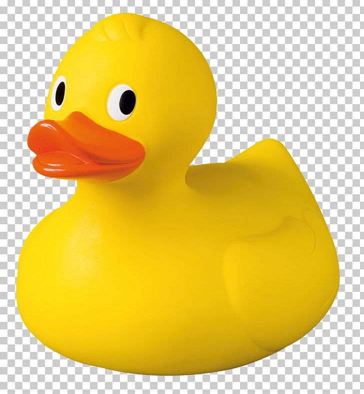 Rubber Duck Canard Vivaldi Plastic PNG, Clipart, Animals, Avis, Beak, Bird, Canard Free PNG Download