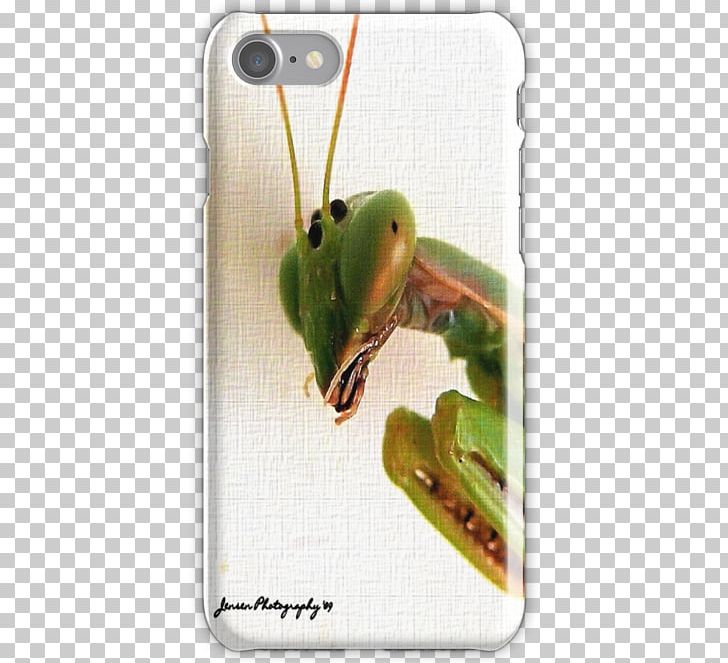 Apple IPhone 7 Plus IPhone X IPhone 5s IPhone 6S Snap Case PNG, Clipart, Amphibian, Apple, Apple Iphone 7 Plus, Fashion, Fauna Free PNG Download