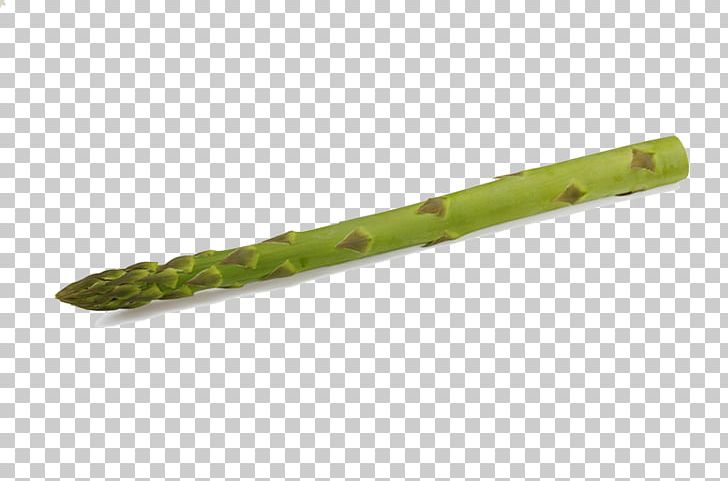 Bamboo Shoot Asparagus Vegetable Tomato PNG, Clipart, Asparagus, Bamboe, Bamboo, Bamboo Border, Bamboo Leaves Free PNG Download