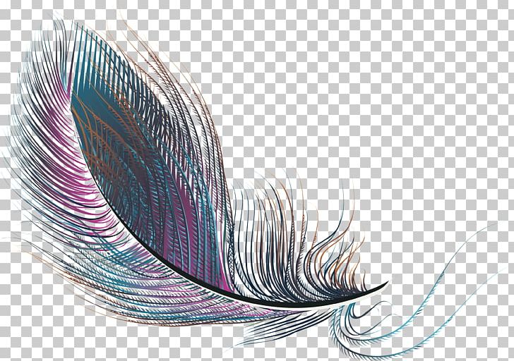 Feather PNG, Clipart, Animals, Colorful Feathers, Designer, Download, Euclidean Vector Free PNG Download