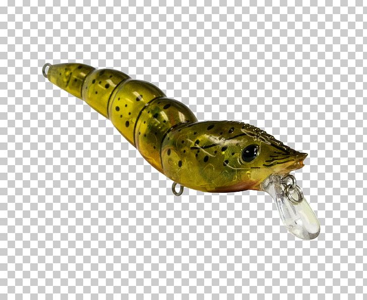Fishing Baits & Lures Spoon Lure Plug PNG, Clipart, Amphibian, Animals, Bait, Bony Fish, Bony Fishes Free PNG Download