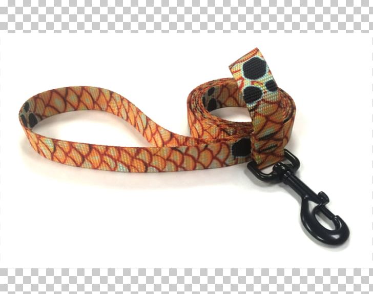 Leash Dog Reptile Belt Jewellery PNG, Clipart, Belt, Dog, Fashion Accessory, Jewellery, Leash Free PNG Download