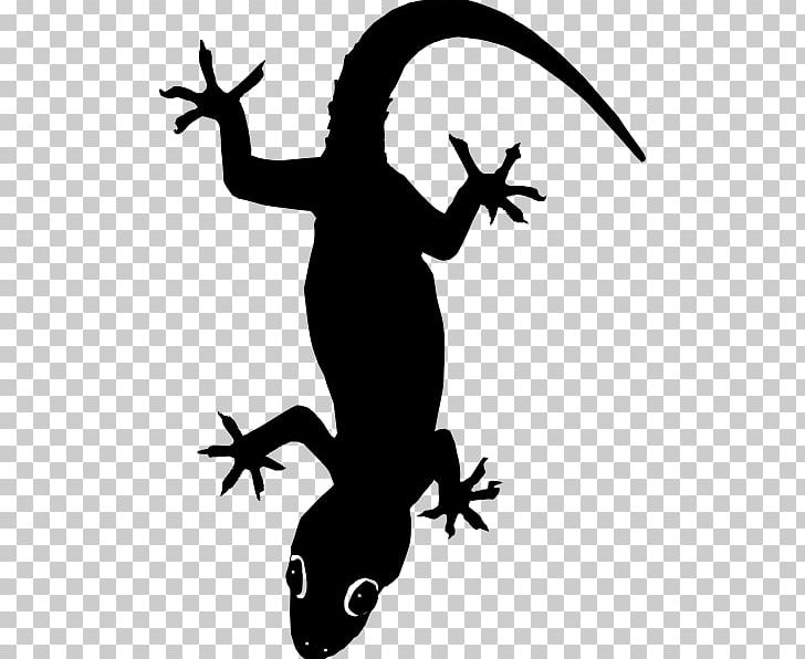 Lizard PNG, Clipart, Amphibian, Artwork, Black And White, Cecak, Clip Art Free PNG Download