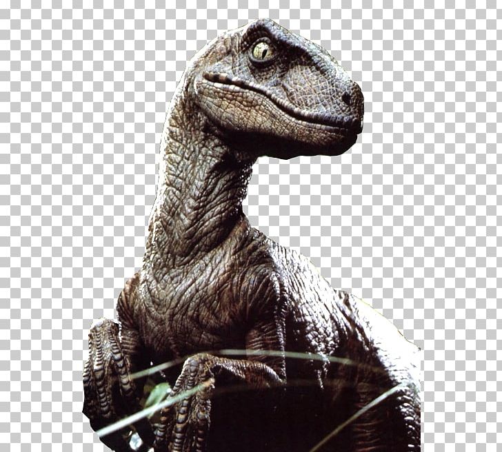 Velociraptor Jurassic Park: The Game Utahraptor Dinosaur PNG, Clipart, Chris Pratt, Dinosaur, Film, Game, Jurassic Free PNG Download
