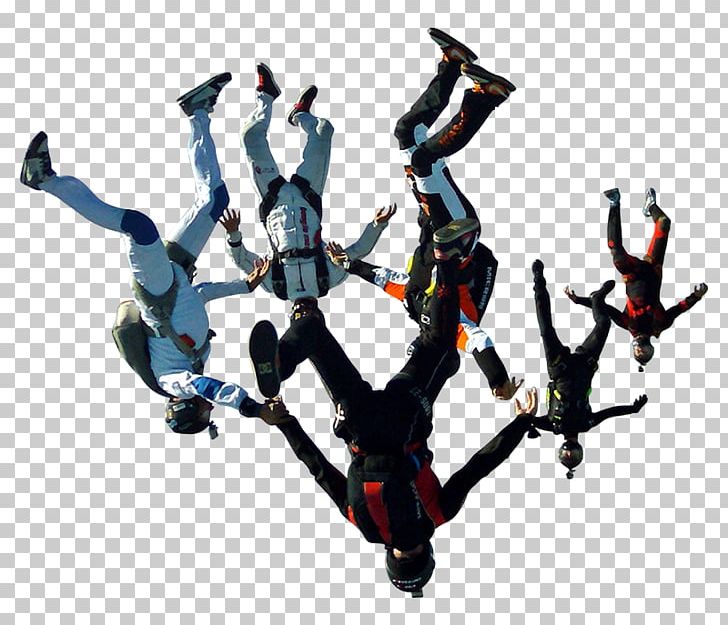 Parachuting Parachute Fly'N Friends Freeflying Wingsuit Flying PNG, Clipart,  Free PNG Download