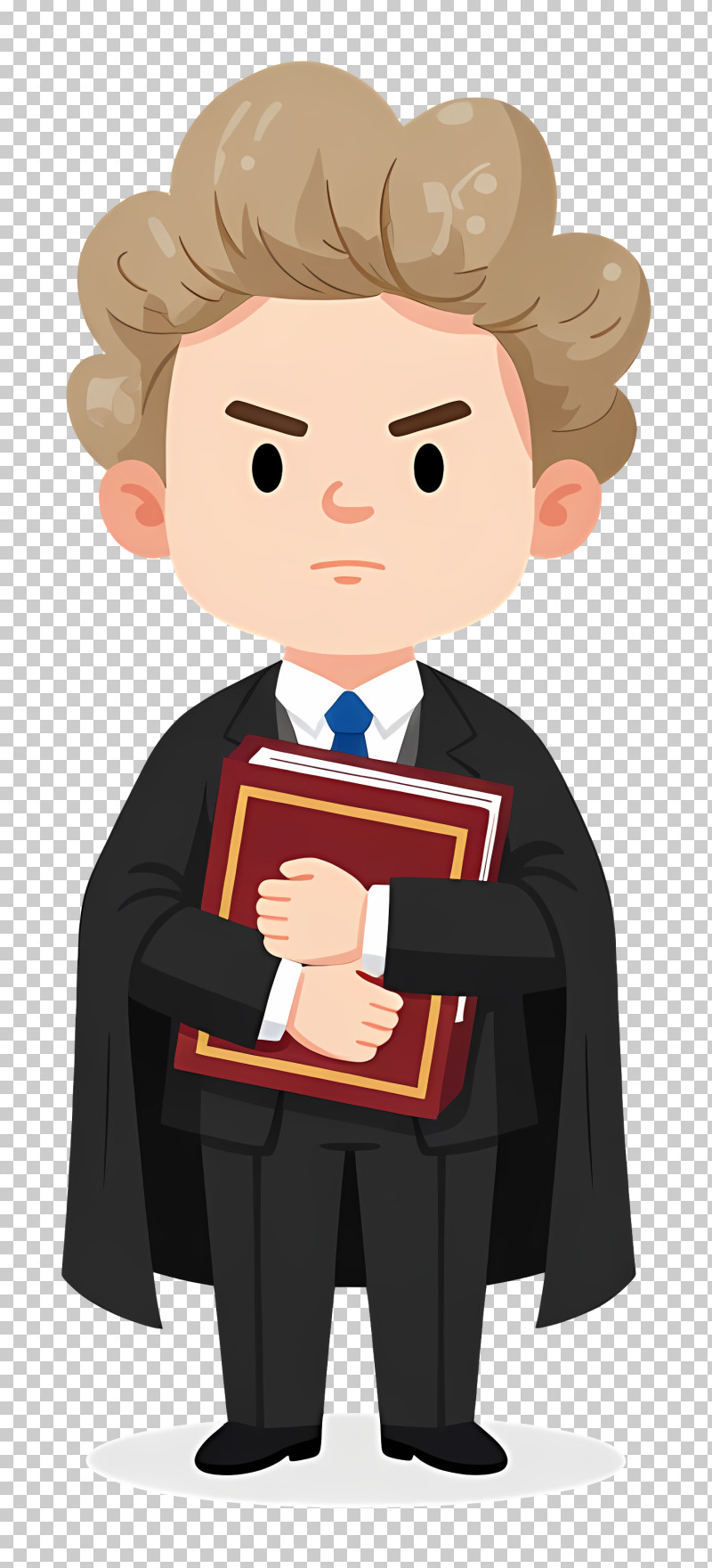 Serious Lawyer Holding Law Book PNG