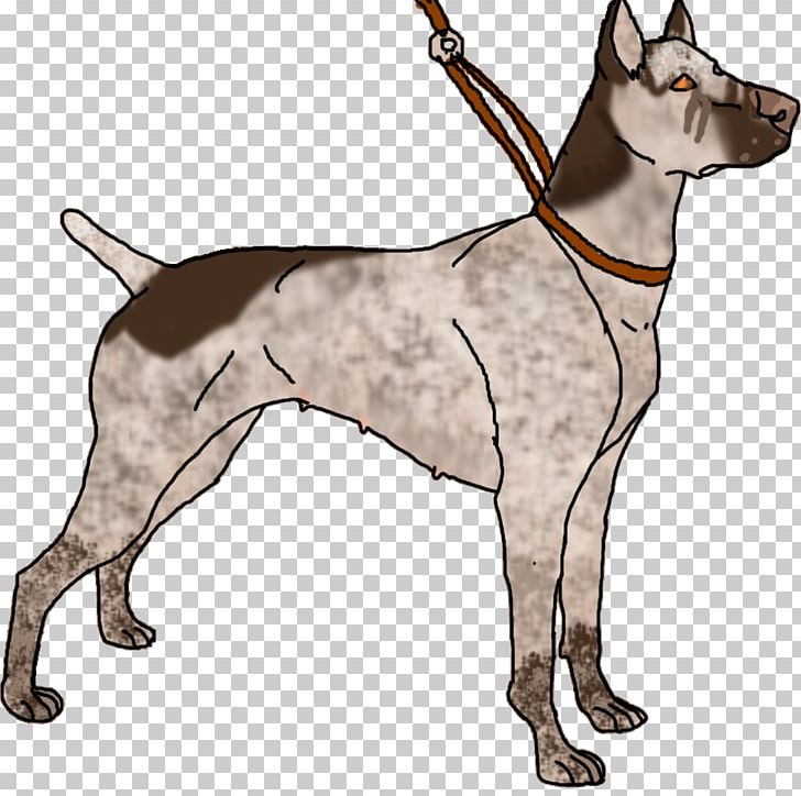 Great Dane Dog Breed Leash Non-sporting Group PNG, Clipart, Breed, Carnivoran, Dog, Dog Breed, Dog Like Mammal Free PNG Download