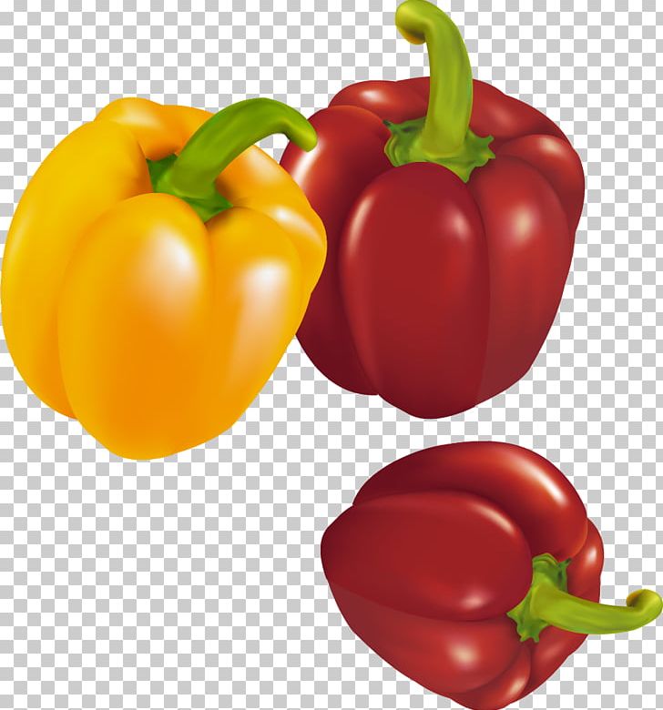 Habanero Red Bell Pepper Chili Pepper Yellow Pepper PNG, Clipart, Bell Pepper, Capsicum, Chili Pepper, Christmas Decoration, Color Free PNG Download