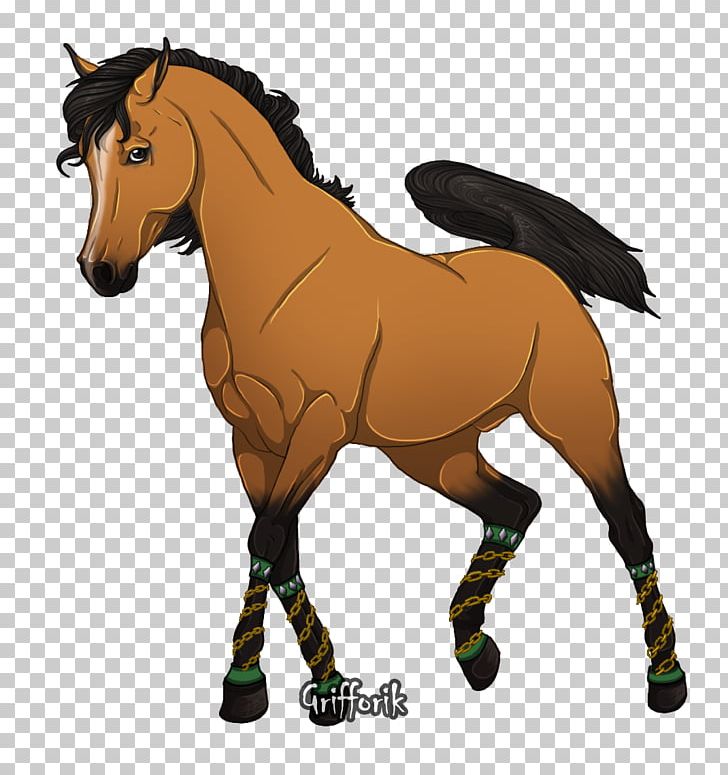 Mule Mustang Stallion Foal Mare PNG, Clipart,  Free PNG Download