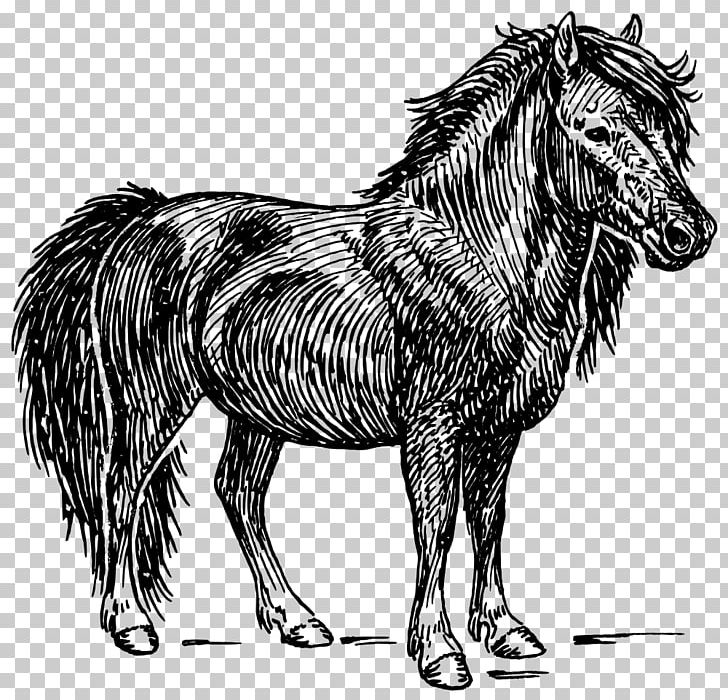 Shetland Pony American Miniature Horse PNG, Clipart, Black, Black And White, Bridle, Computer Icons, Donkey Free PNG Download